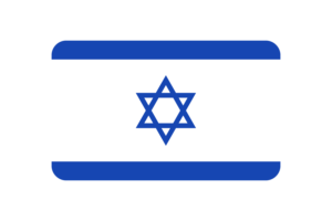 היברית国旗